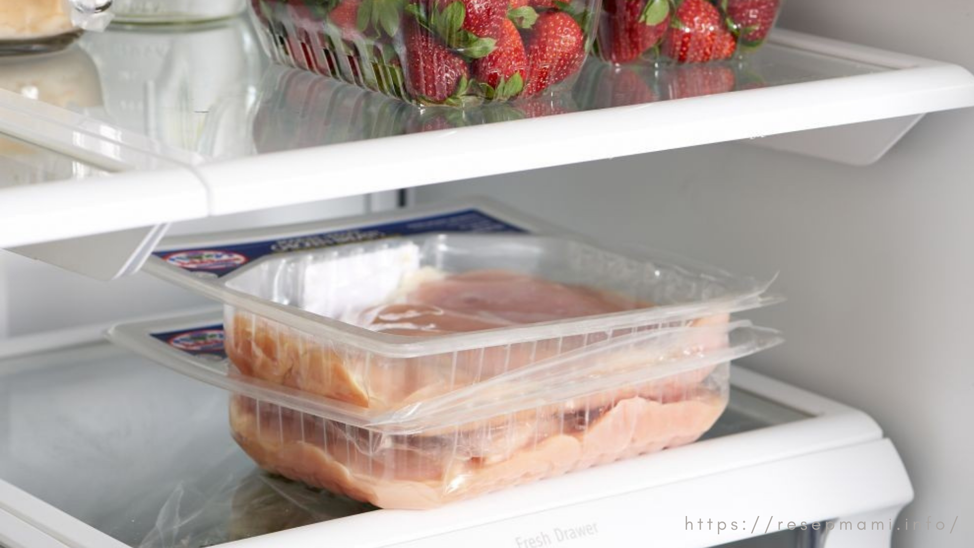 cara menyimpan daging ayam di kulkas