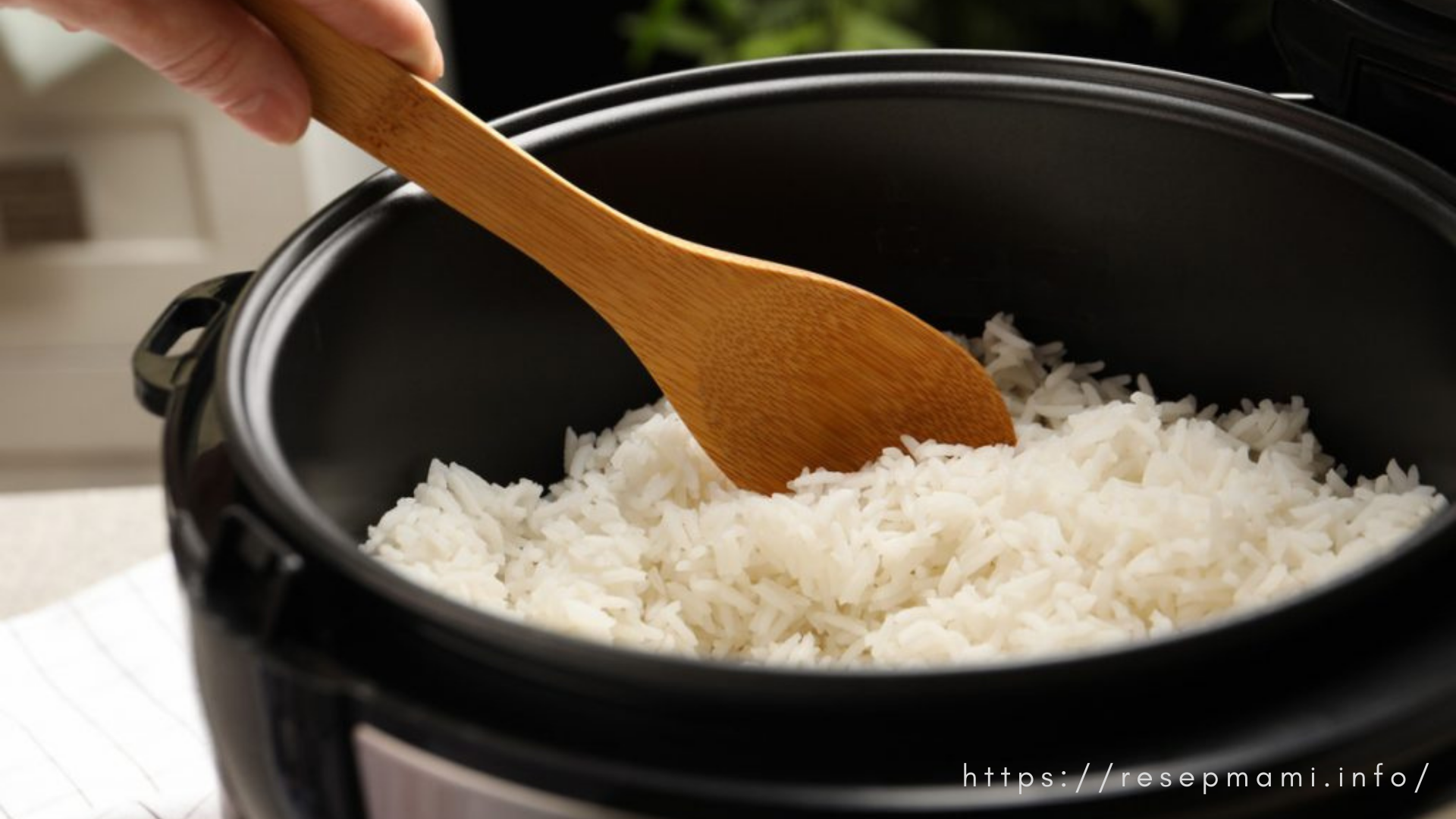 rice cooker besar