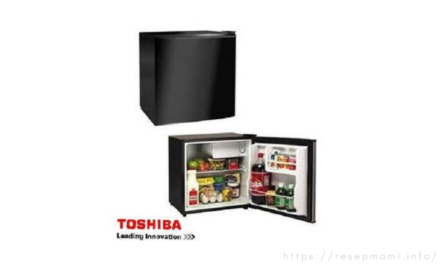Rekomedasi 7 Kulkas Toshiba 1 Pintu Terbaik!