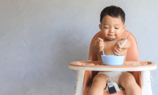 Rekomedasi 15 Kursi Makan Bayi untuk Si Kecil!